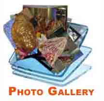 Photo Gallery